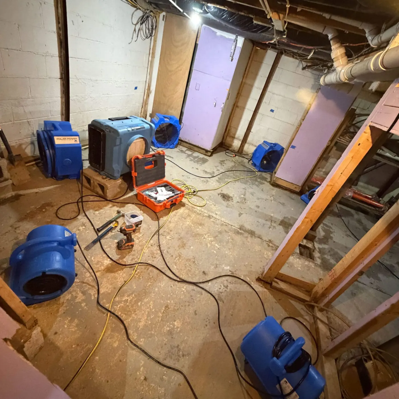 IICRC certified drying setup in Johnson County, IN